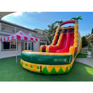 Dual Lane Tropical Fiesta breeze (SKU W462)