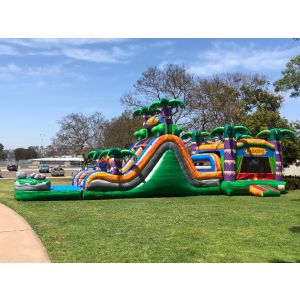 Dual Lane Paradise Combo Water Slide (SKU CW268)